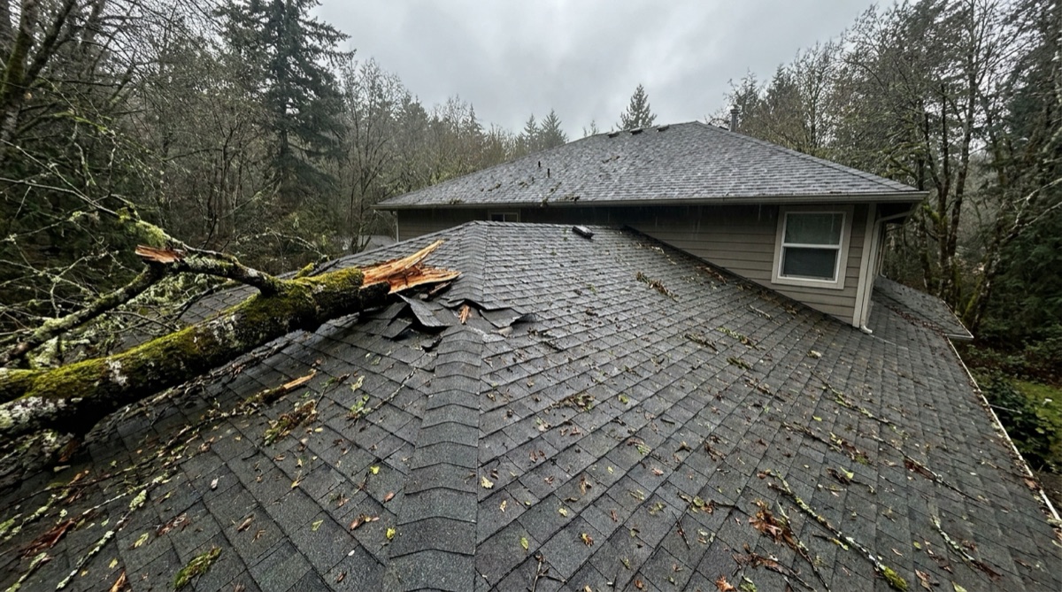 Fallen tree branch and storm damage on an asphalt shingle roof
